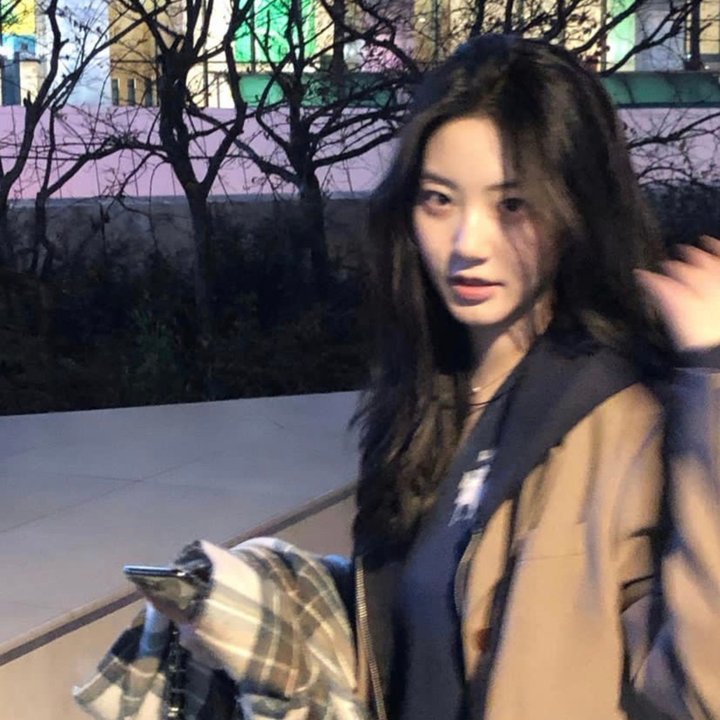 监察局长